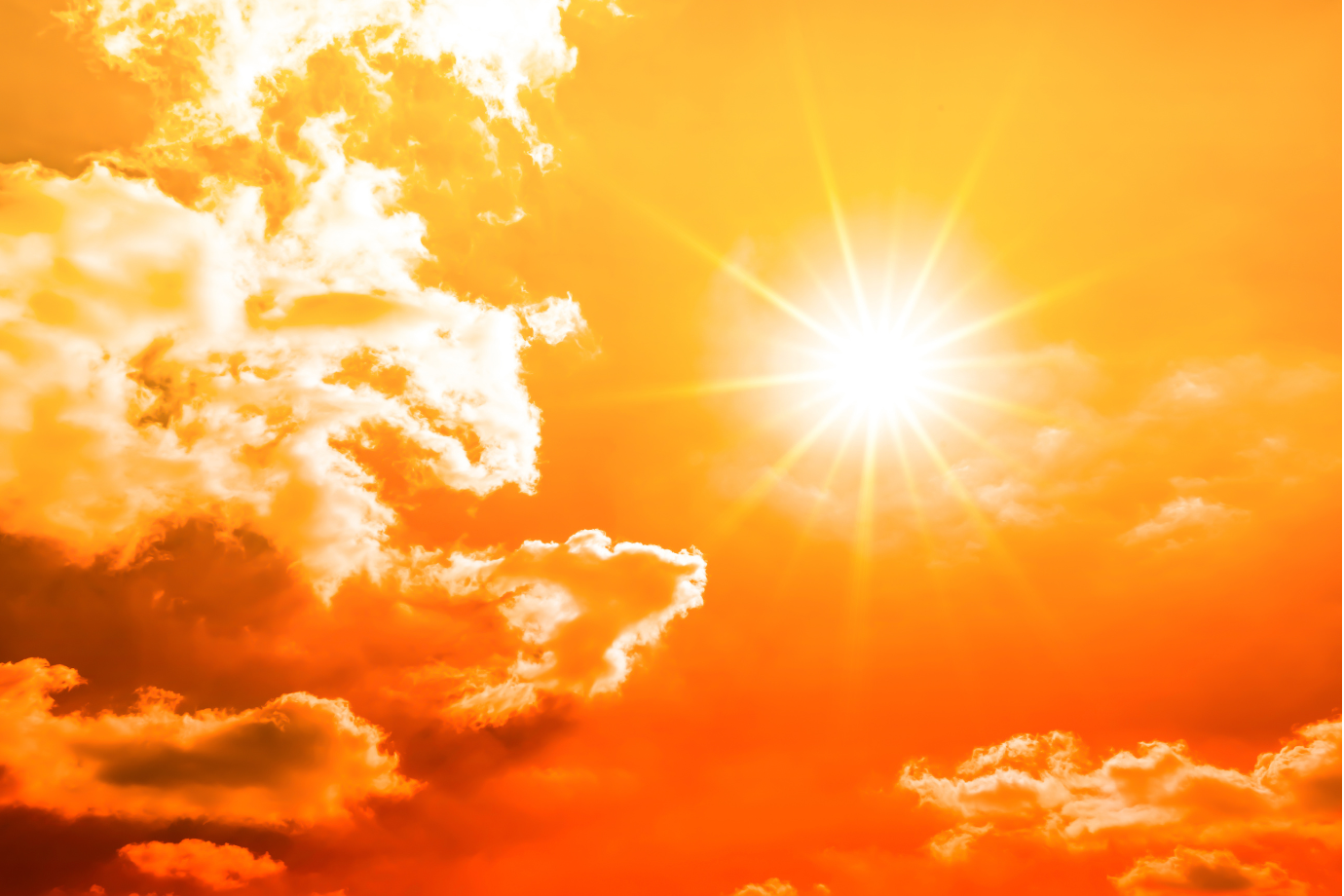 zdjęcie poglądowe 