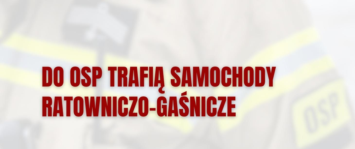Grafika MSWiA