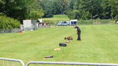 Galeria zdjęć z Wojewódzkich Obchodów Święta Policji w Pszczynie z udziałem wicewojewody Jana Chrząszcza /fot. A. Herz/