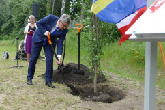 Obchody Narodowego Dnia Powstań Śląskich - Wojewoda Śląski dokonuje aktu zasadzenia dębu /fot. ŚUW/