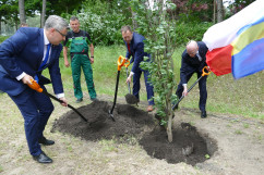 Obchody Narodowego Dnia Powstań Śląskich - wspólne zasadzenie dębu, gdzie ma powstać Aleja Polskiego Dziedzictwa Śląska /fot. ŚUW/