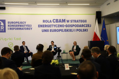 Widok na salę podczas konferencji./fot. A. Herz/
