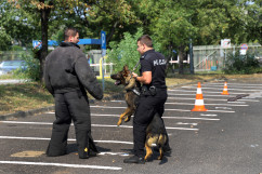 Galeria zdjęć z drugiej odsłony 