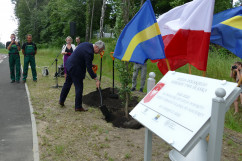 Obchody Narodowego Dnia Powstań Śląskich - dyrektor Oddziału IPN w Katowicach dr Andrzej Sznajder dokonuje aktu zasadzenia dębu /fot. ŚUW/